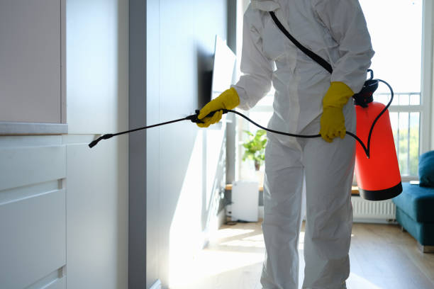 Best Emergency Mold Removal  in Crystal Lake, CT